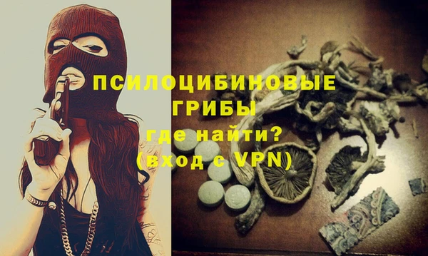 экстази Богородск