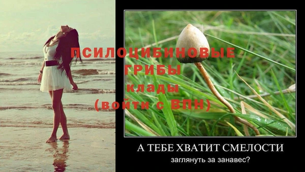 MESCALINE Покровск