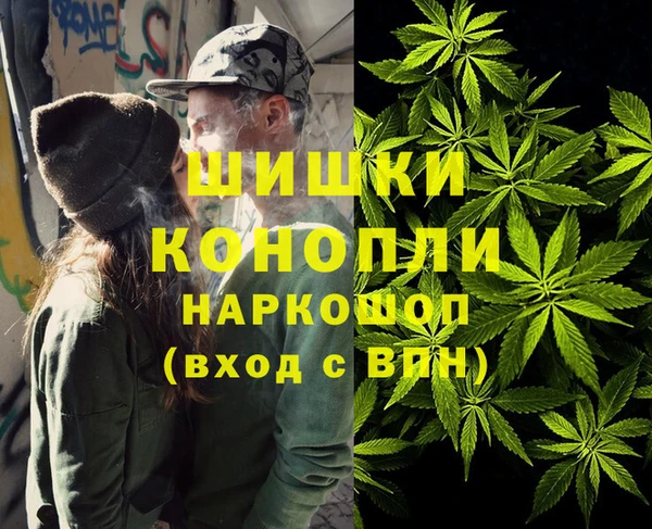 PSILOCYBIN Богородицк