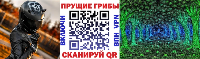 сколько стоит  дарк нет состав  blacksprut маркетплейс  Галлюциногенные грибы мухоморы  Берёзовка 